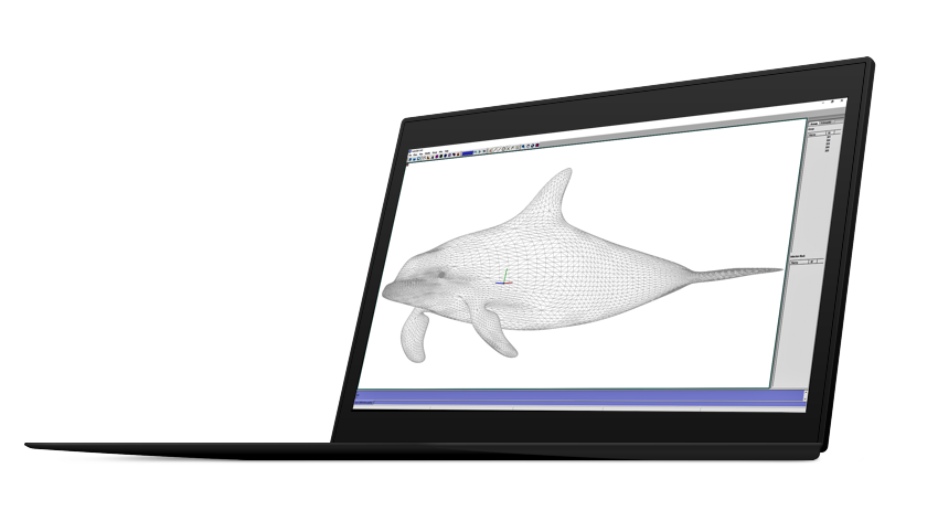 3d dolphin in Windows 3d satellite model on an iPad